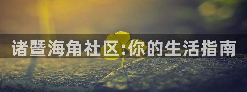 海角社区的视频播放不了:诸暨海角社区:你的生活指南